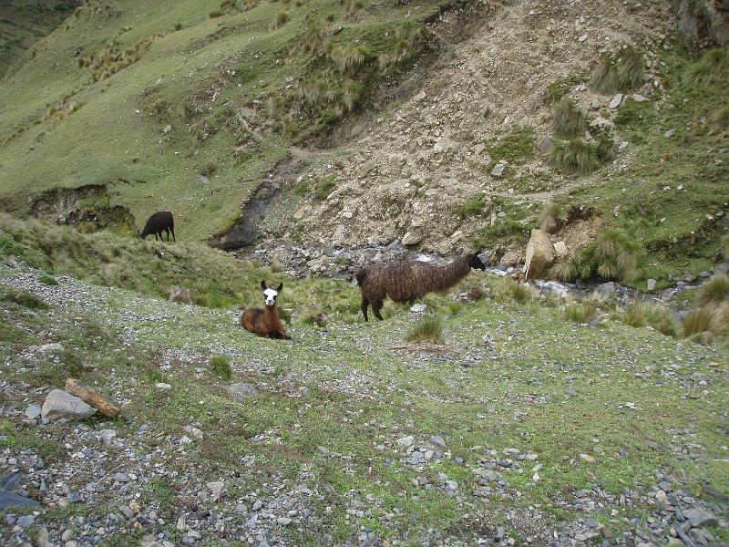 Illampu Trek (14).JPG